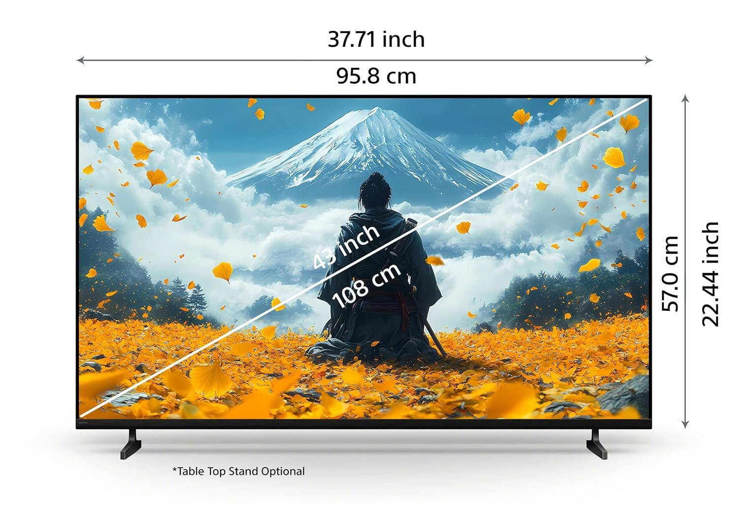 Sony 108 cm - Image 2